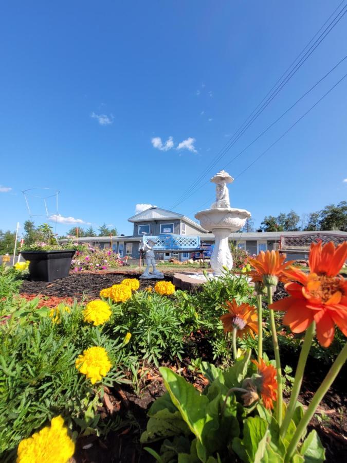 Norvic Motel Coniston Екстер'єр фото